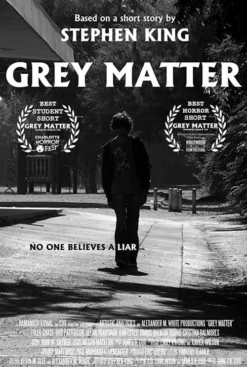 Постер: Grey Matter