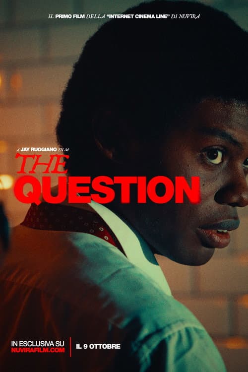 Постер: The Question