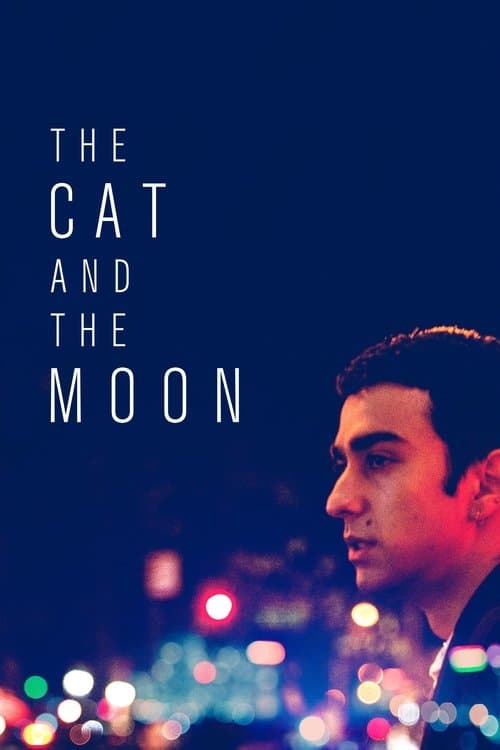 Постер: The Cat and the Moon