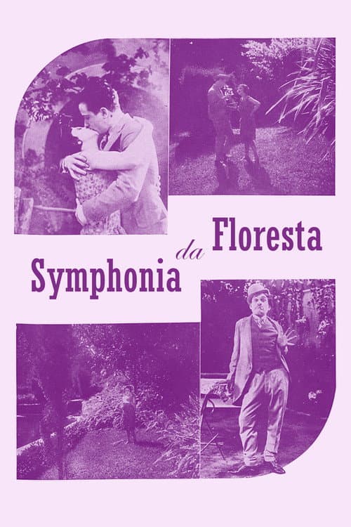 Постер: Sinfonia da Floresta