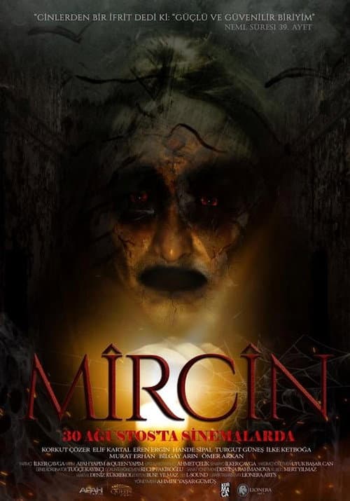 Постер: Mircin
