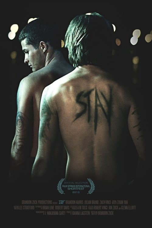 Постер: Stay