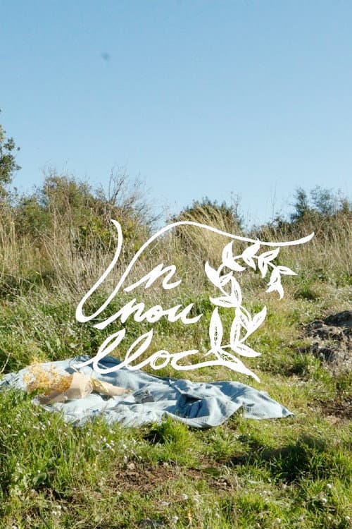 Постер: Un Nou Lloc