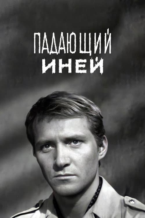 Постер 3