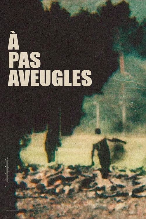 Постер: À pas aveugles