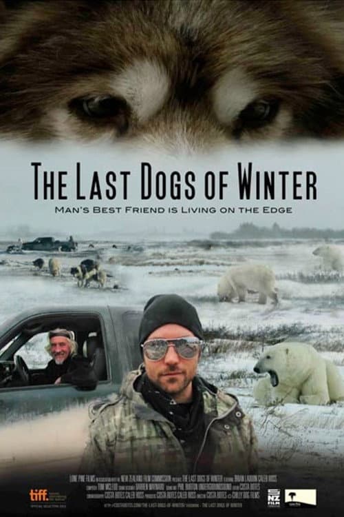 Постер: The Last Dogs of Winter
