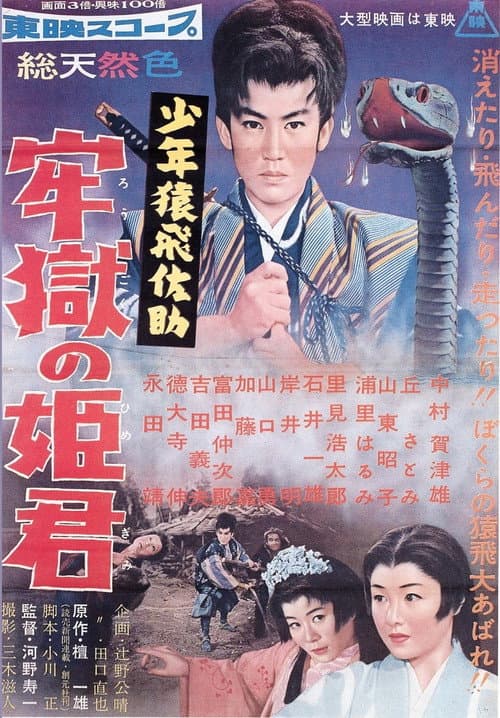Постер: 少年猿飛佐助 牢獄の姫君
