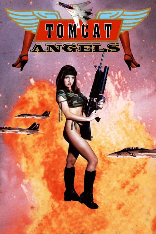 Постер: Tomcat Angels
