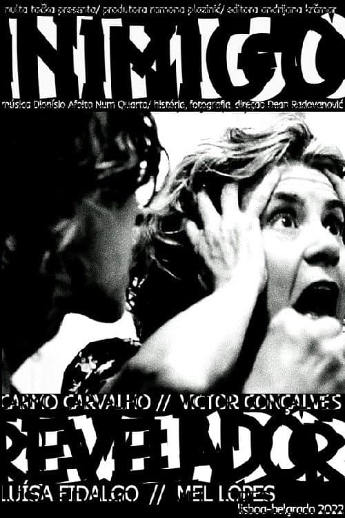 Постер: Inimigo Revelador