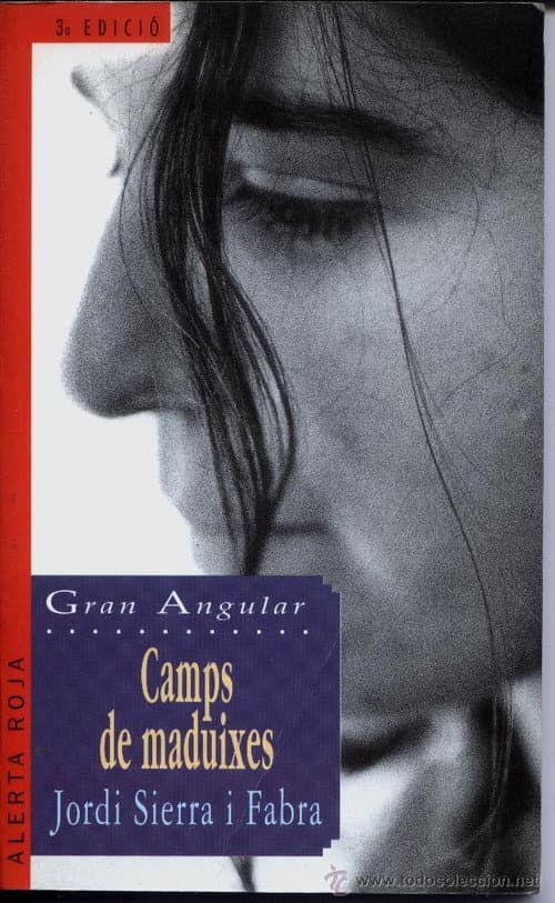 Постер: Camps de maduixes