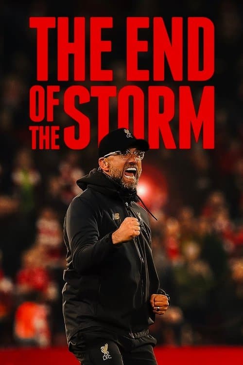 Постер: The End of the Storm