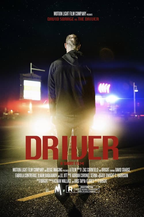 Постер: DRIVER