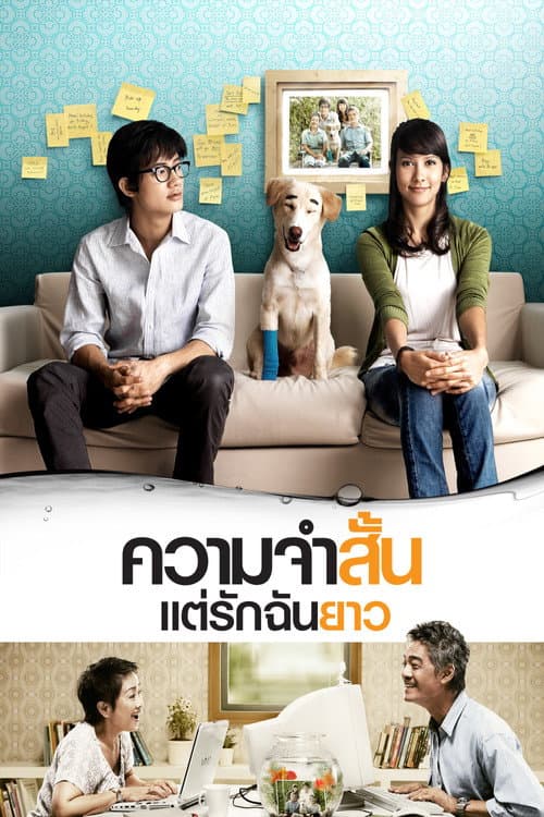 Постер: ความจำสั้น แต่รักฉันยาว