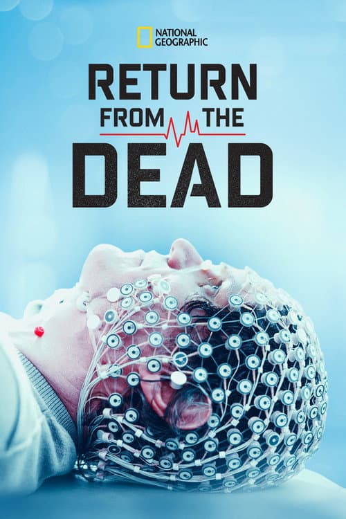 Постер: Return From the Dead