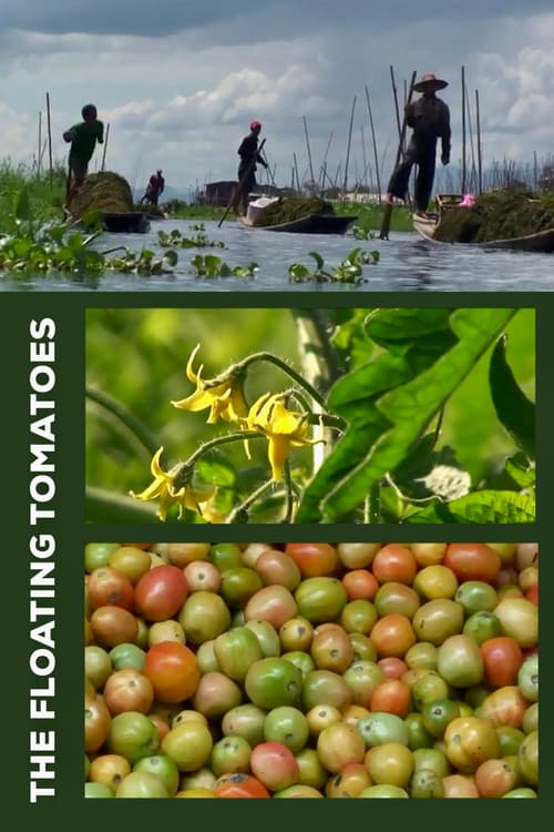 Постер: The Floating Tomatoes