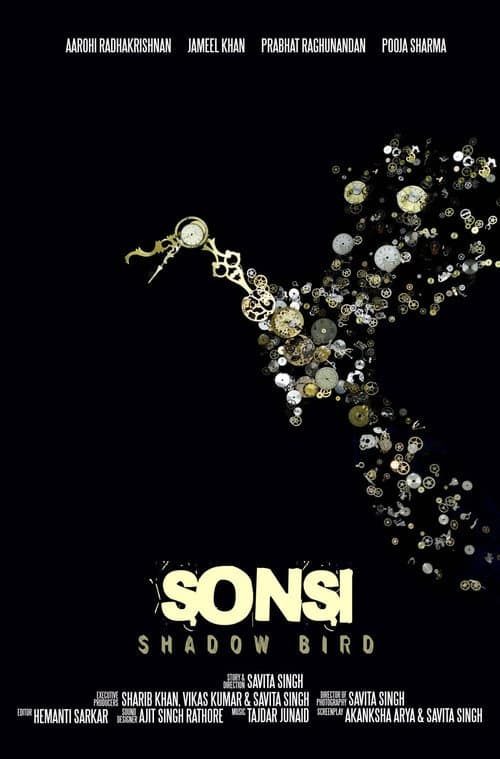 Постер: Sonsi