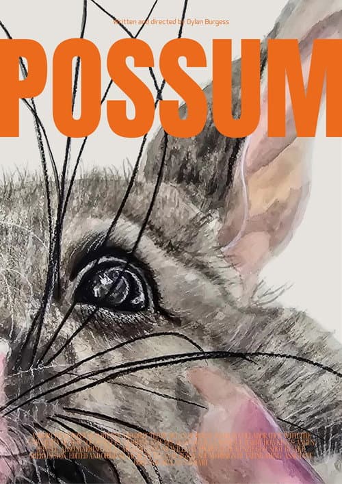 Постер: Possum