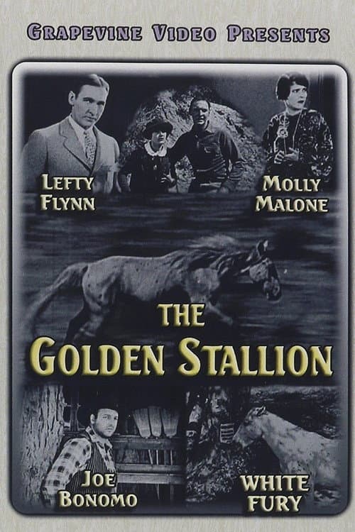 Постер: The Golden Stallion