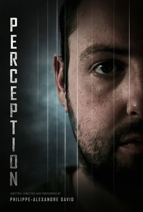 Постер: Perception