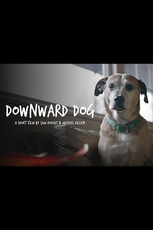 Постер: Downward Dog