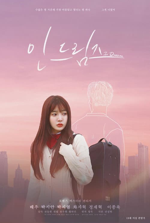 Постер: 인 드림즈
