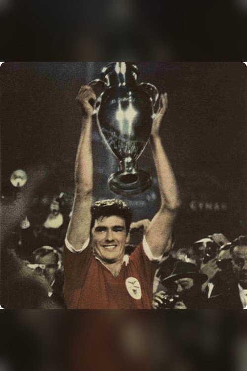 Постер: A Conquista da Europa