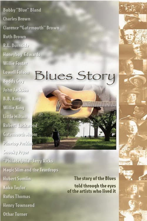Постер: Blues Story