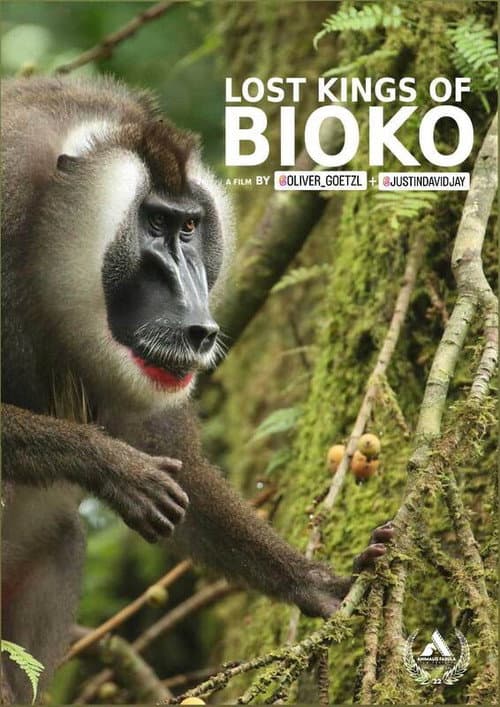 Постер: Lost Kings of Bioko
