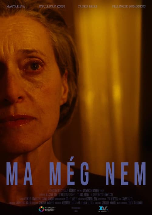Постер: Ma még nem