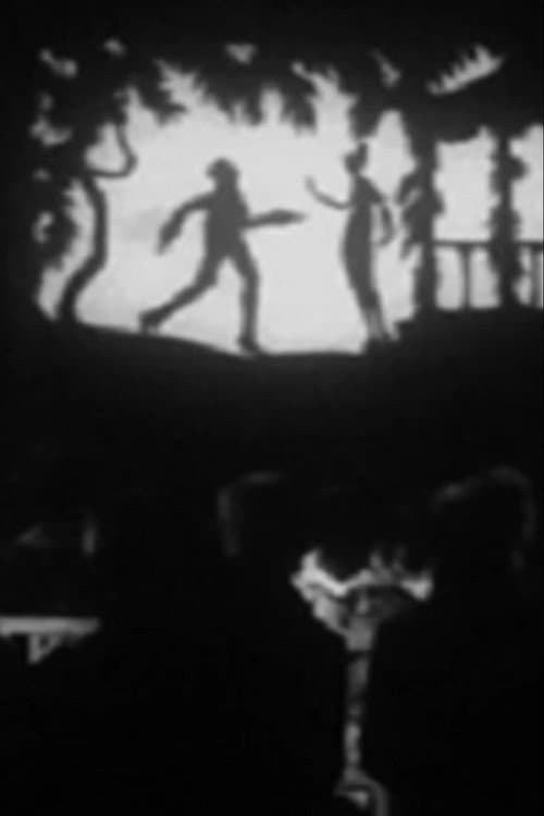 Постер: Der verlorene Schatten