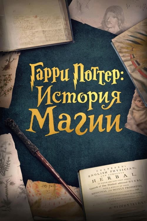 Постер: Гарри Поттер: История магии