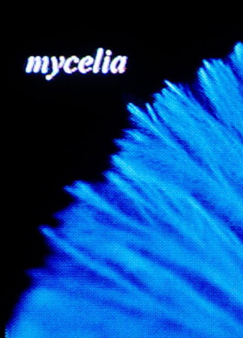 Постер: mycelia