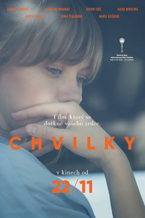 Постер: Chvilky