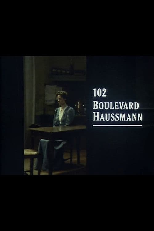 Постер: 102 Boulevard Haussmann