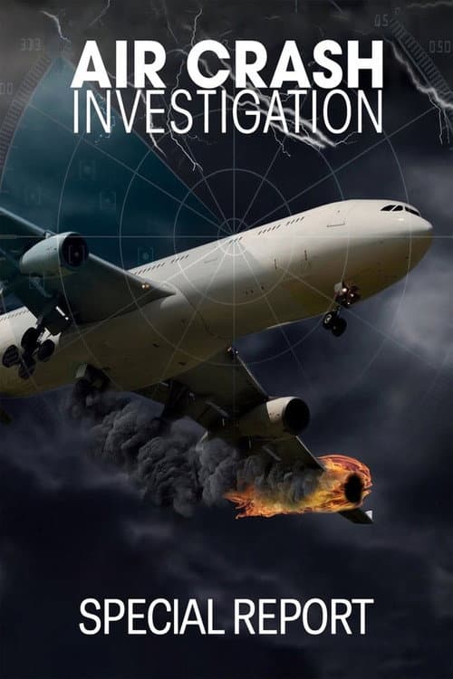 Постер: Air Crash Investigation: Special Report