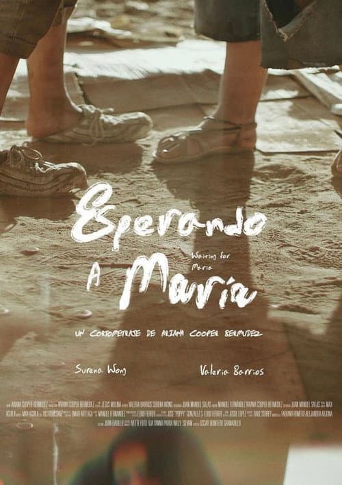 Постер: Esperando a María