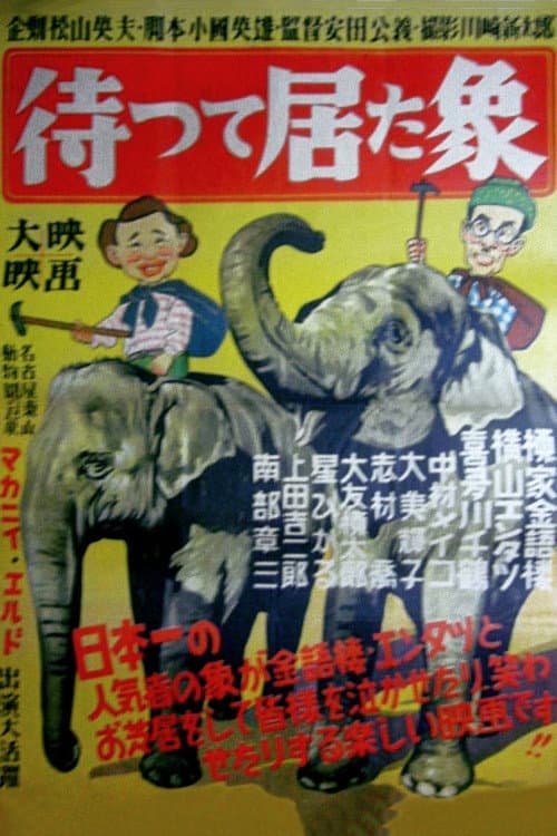 Постер: 待って居た象