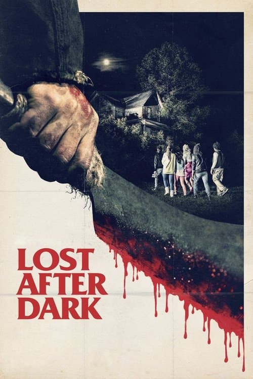 Постер: Lost After Dark