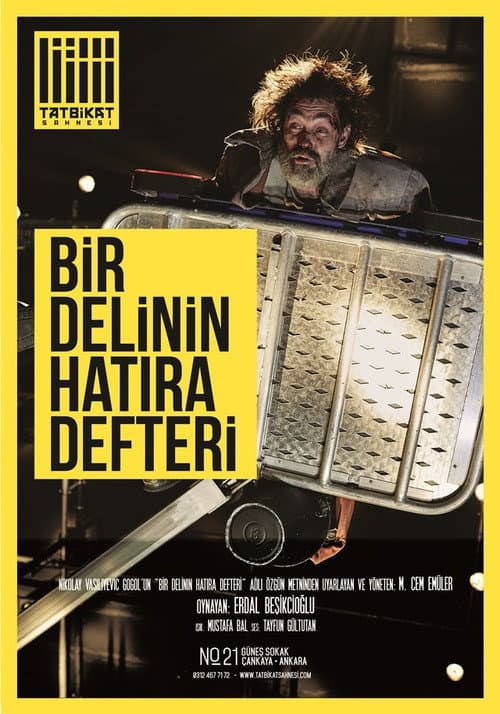Постер: Bir Delinin Hatıra Defteri - Erdal Beşikçioğlu