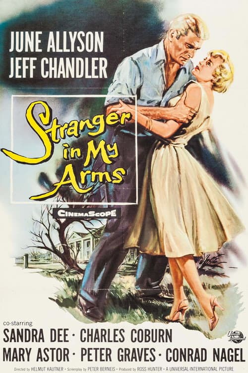 Постер: A Stranger in My Arms
