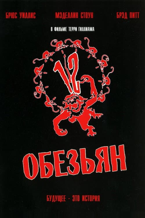 Кадр 6