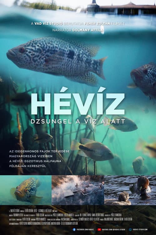 Постер: Hévíz − Dzsungel a víz alatt