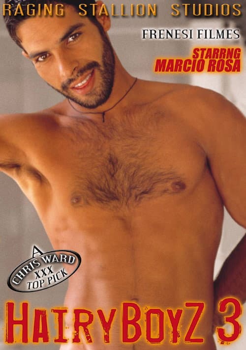Постер: Hairy Boyz 3