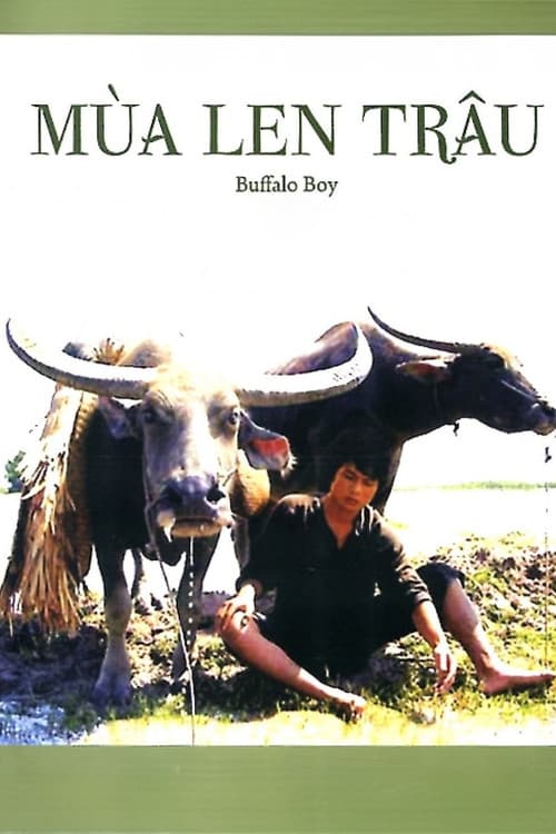 Постер: Mùa len trâu