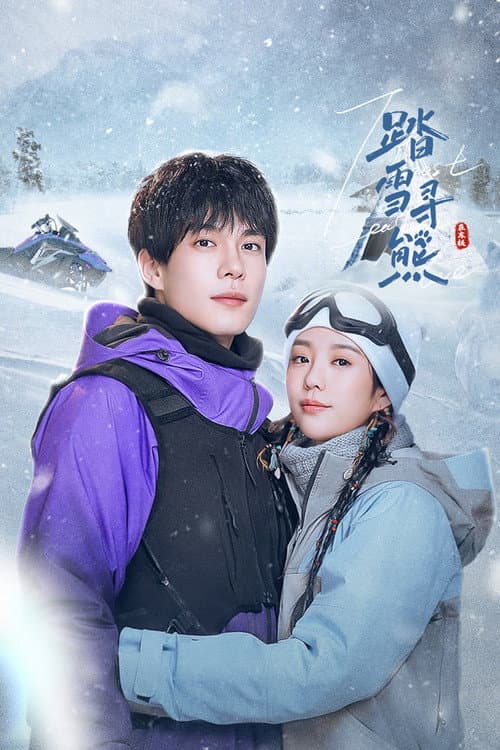 Постер: 踏雪寻熊