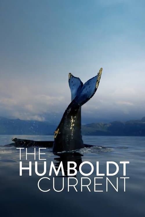 Постер: The Humboldt Current
