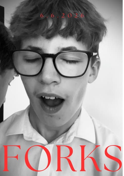 Постер: Forks