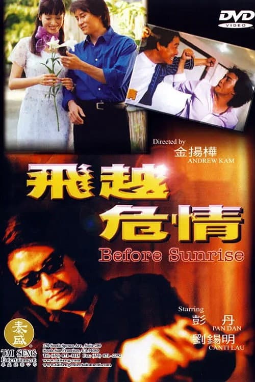 Постер: 飞越危情