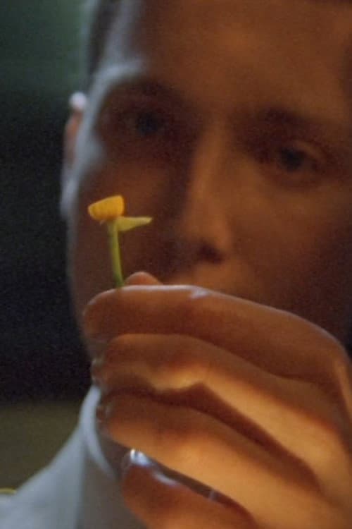 Постер: The Man Who Loved Flowers