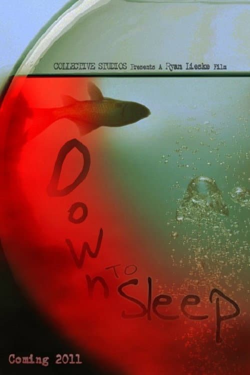 Постер: Down to Sleep